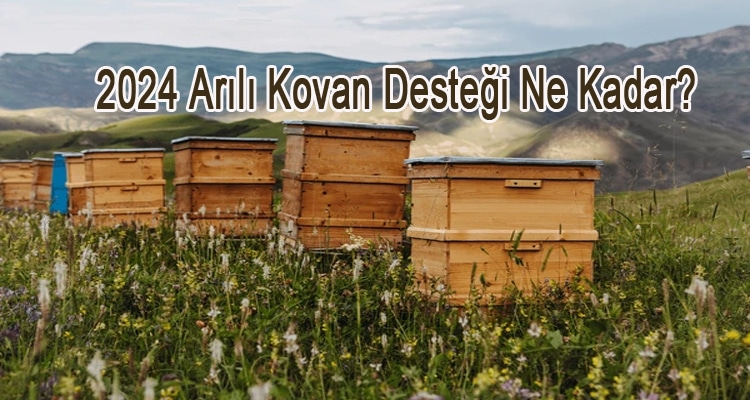 2024 arili kovan destegi ne kadar